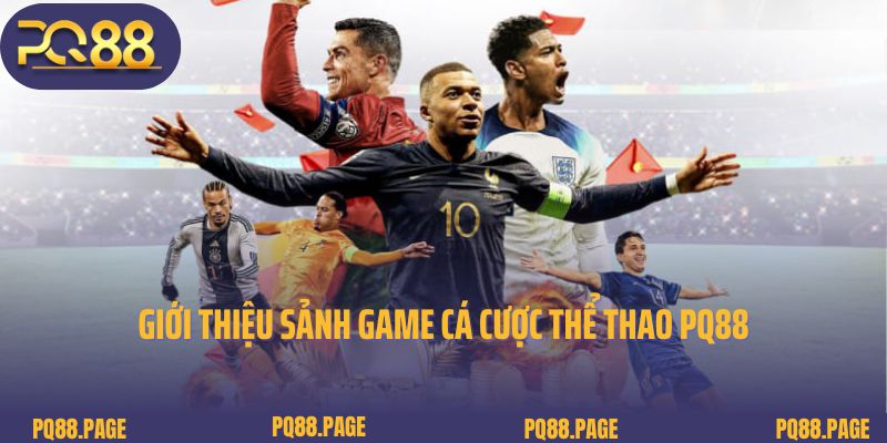 Giới thiệu sảnh game cá cược thể thao PQ88 nổi tiếng