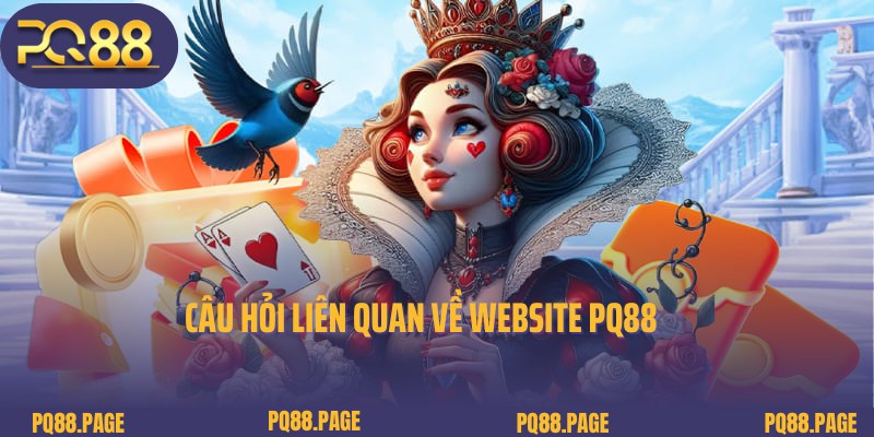 Câu hỏi liên quan và lời đáp chi tiết về website PQ88