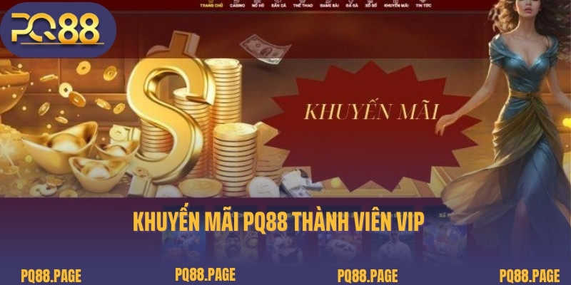 Khuyến mãi PQ88 thành viên vip