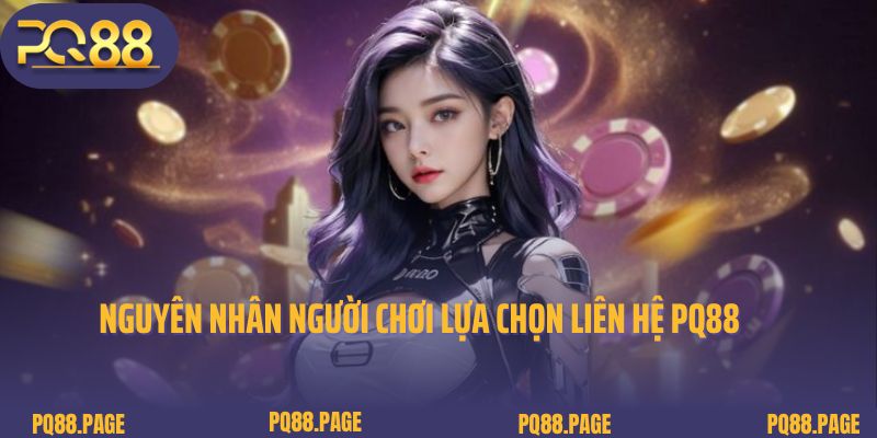 Nguyên nhân người chơi lựa chọn liên hệ PQ88 
